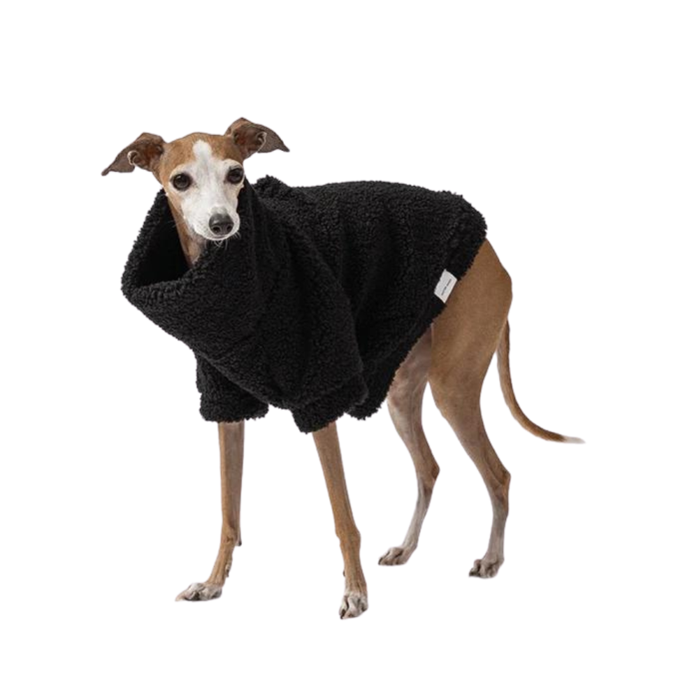 Mister Woof Dog Jumper Black Teddy Pets Of Ponsonby mister-woof-dog-jumper-black-teddy-pets-of-ponsonby