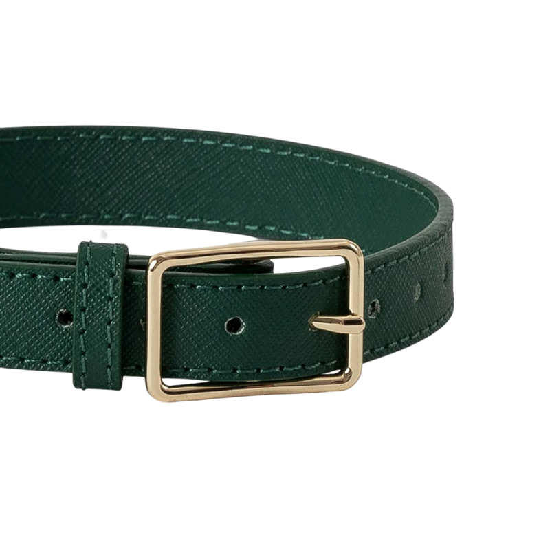 Classic Leather Dog Collar