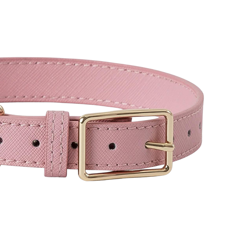 Classic Leather Dog Collar