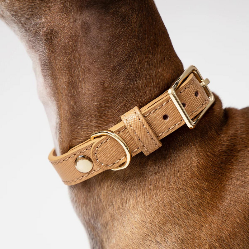 Classic Leather Dog Collar