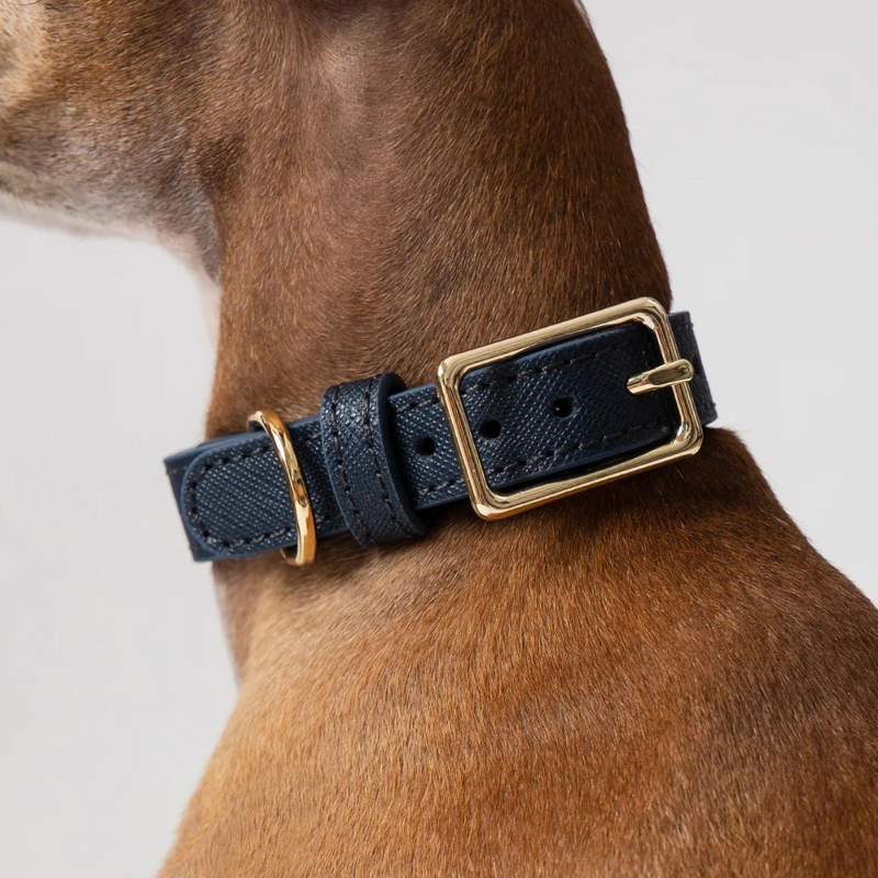 Classic Leather Dog Collar