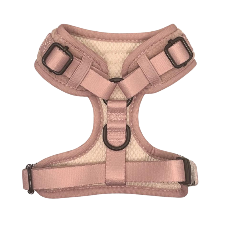 Teddy Dog Harness