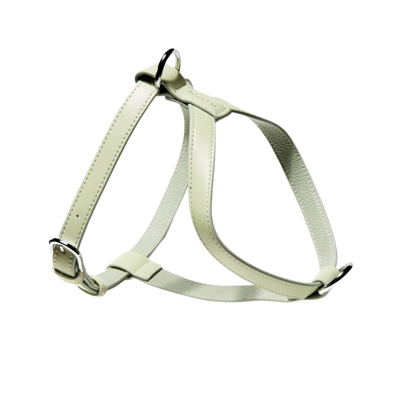 Sage Harness