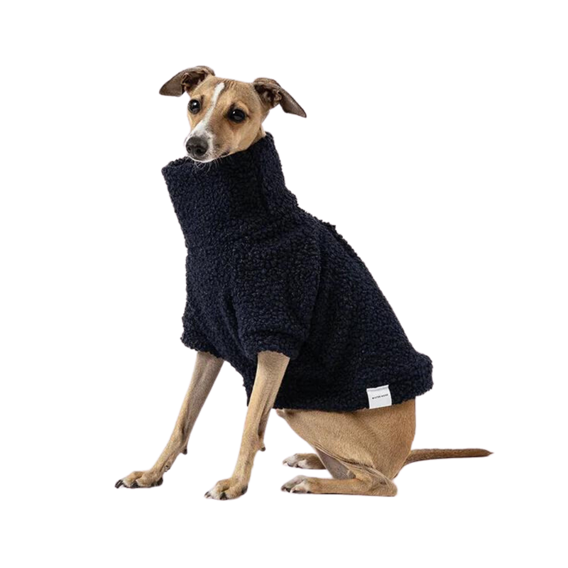 Teddy Dog Jumper