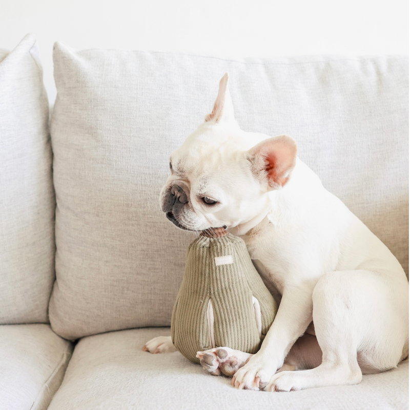 Butternut Enrichment Dog Toy