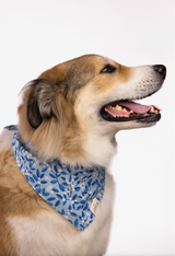 Snow Berry Dog Bandana