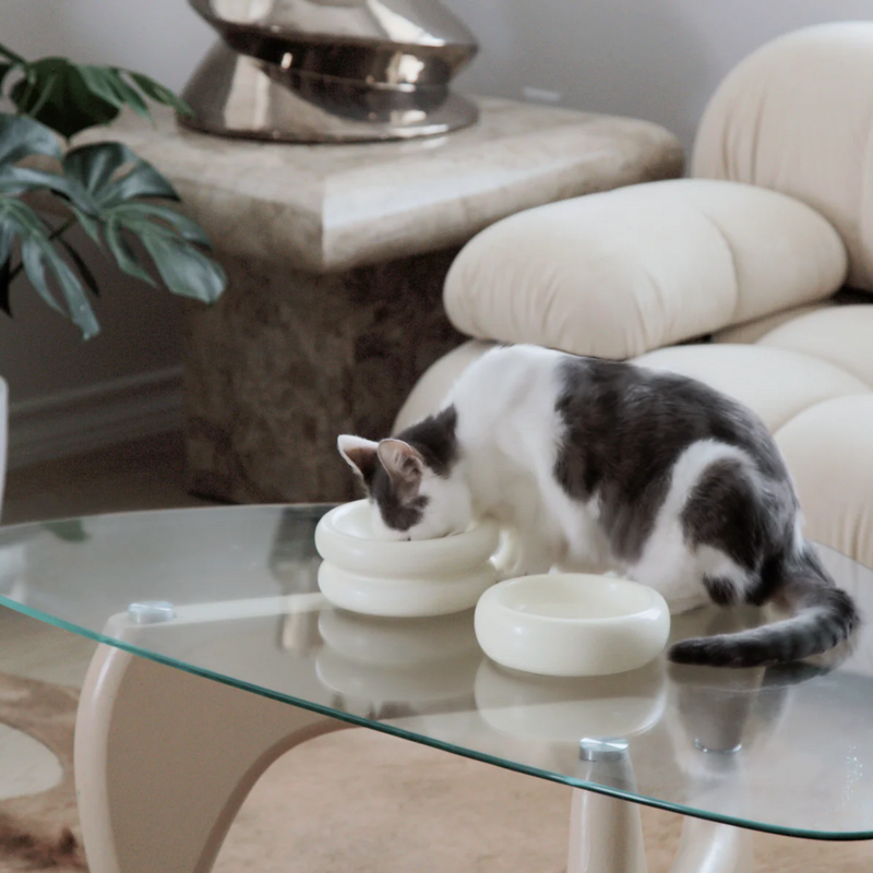 Elevated Halo Cat Bowl