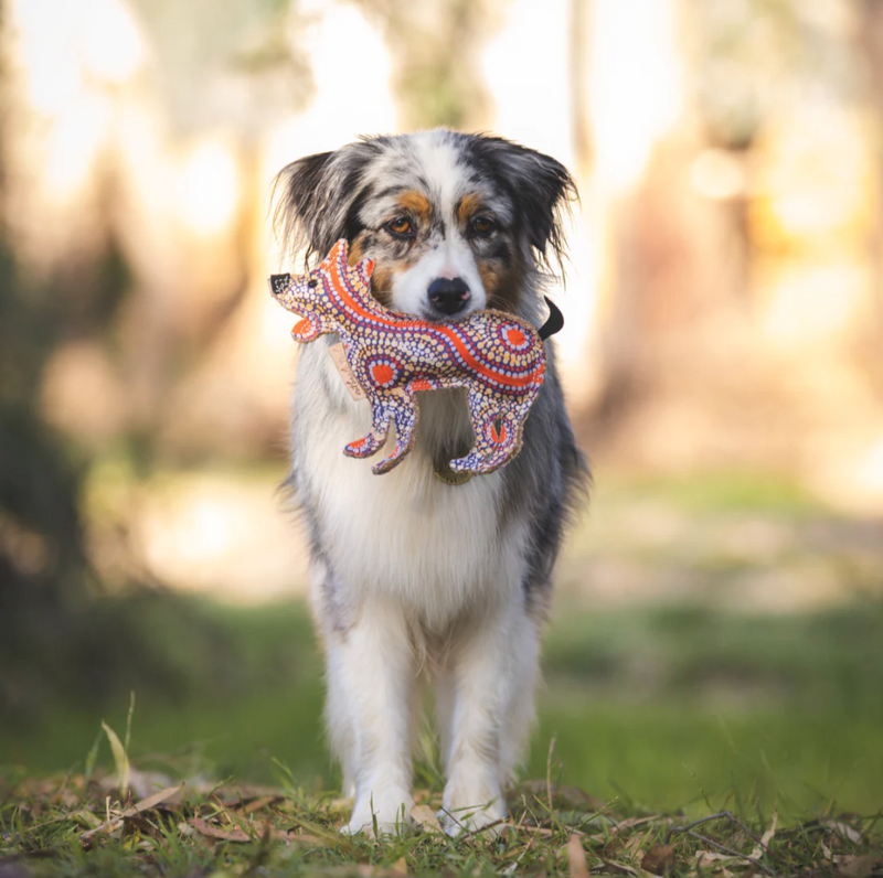 Desert Dog Toy