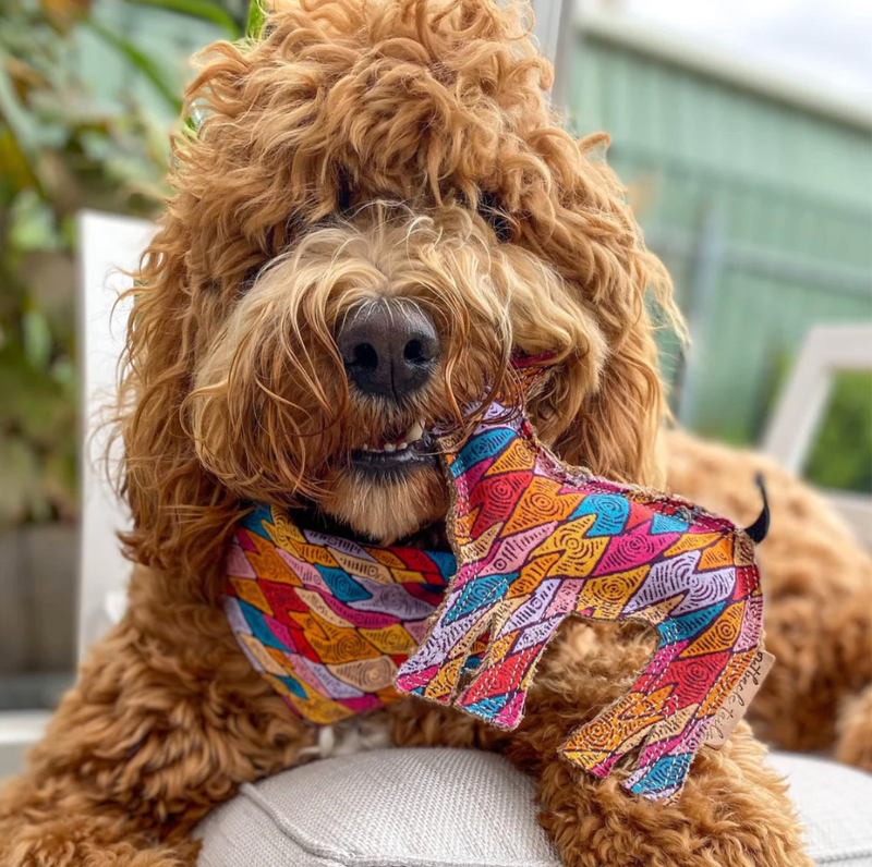 Desert Dog Toy