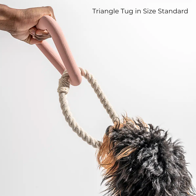 Triangle Dog Toy