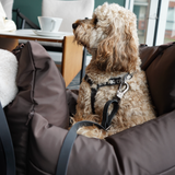 Jet Setter Dog Car Seat Espresso