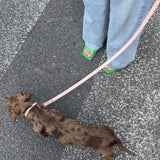 Pale Pink Collar