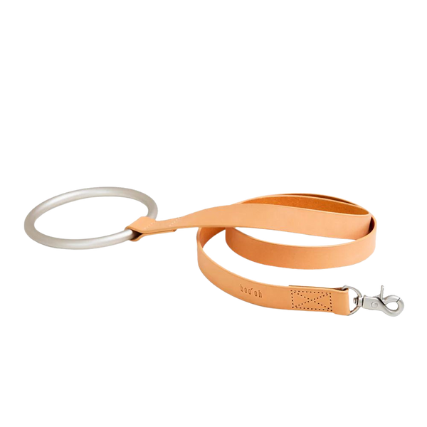 Lumi Dog Leash