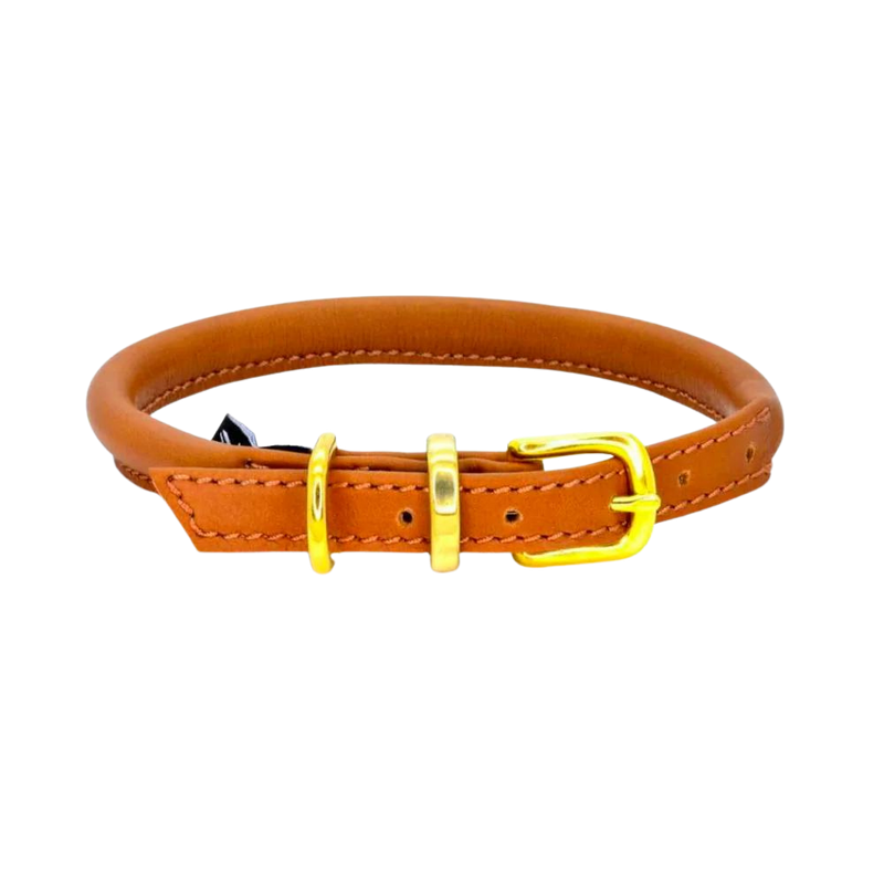 Rolled Leather Dog Collar