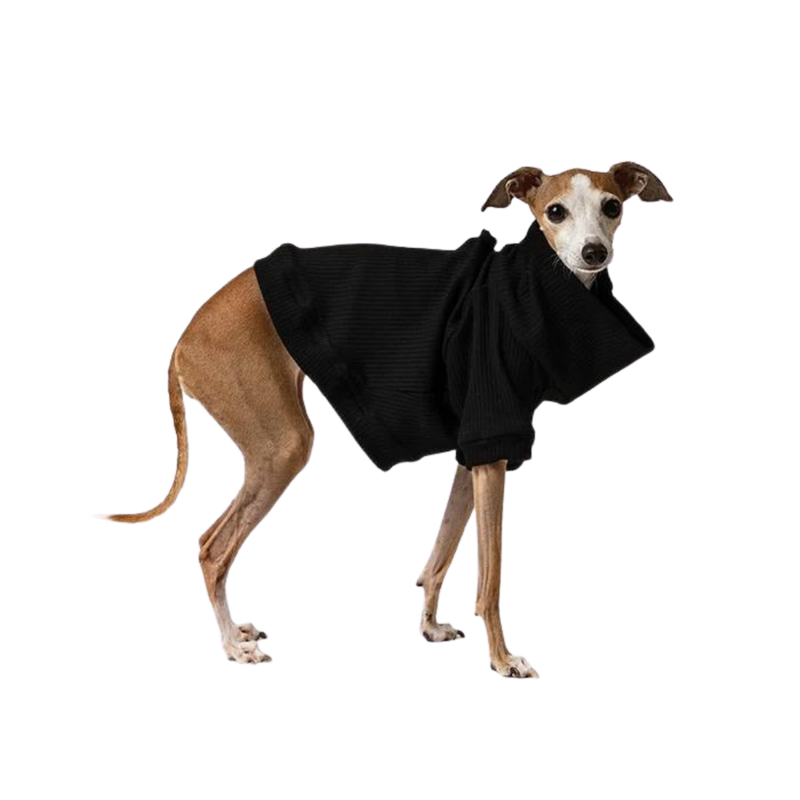 Stevie Dog Jumper