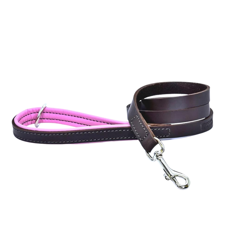 Padded Leather Dog Leash