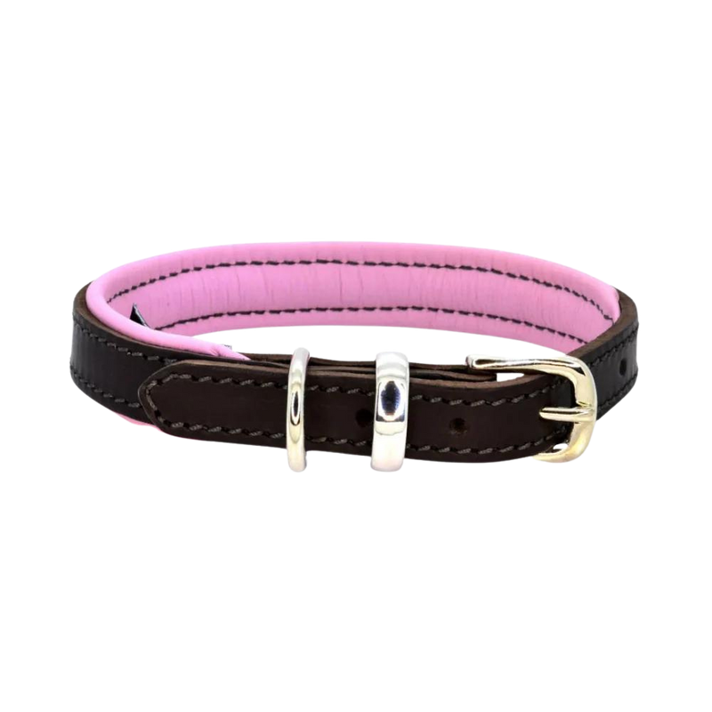 Padded Leather Dog Collar